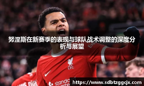 努涅斯在新赛季的表现与球队战术调整的深度分析与展望